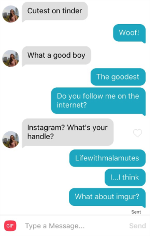 Dog-Tinder-Phil-Lifewithmalamutes
