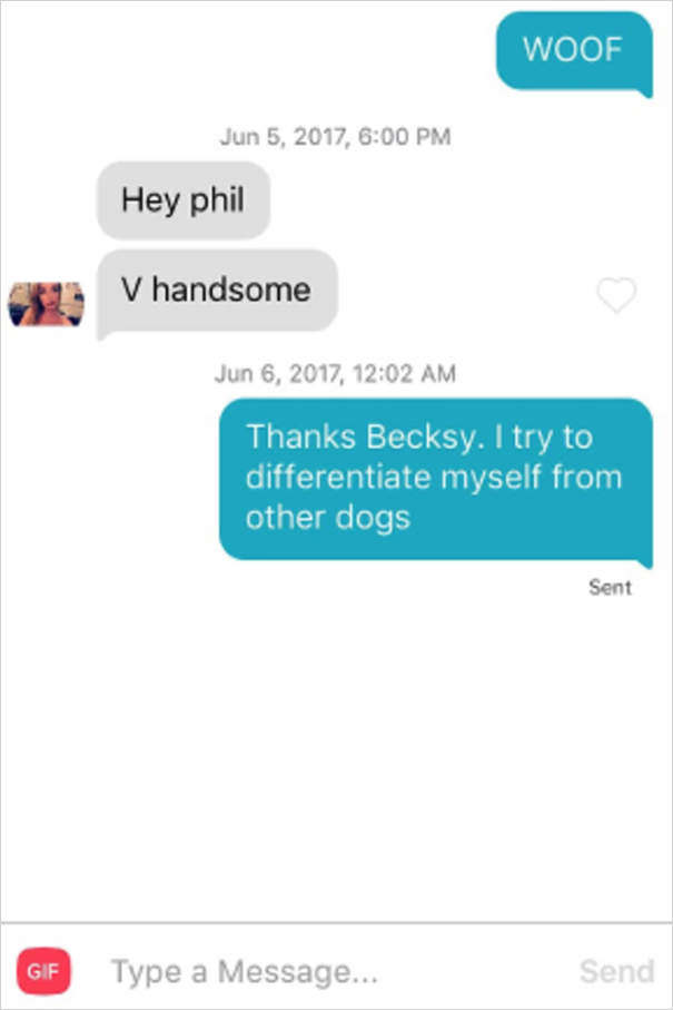 Dog-Tinder-Phil-Lifewithmalamutes