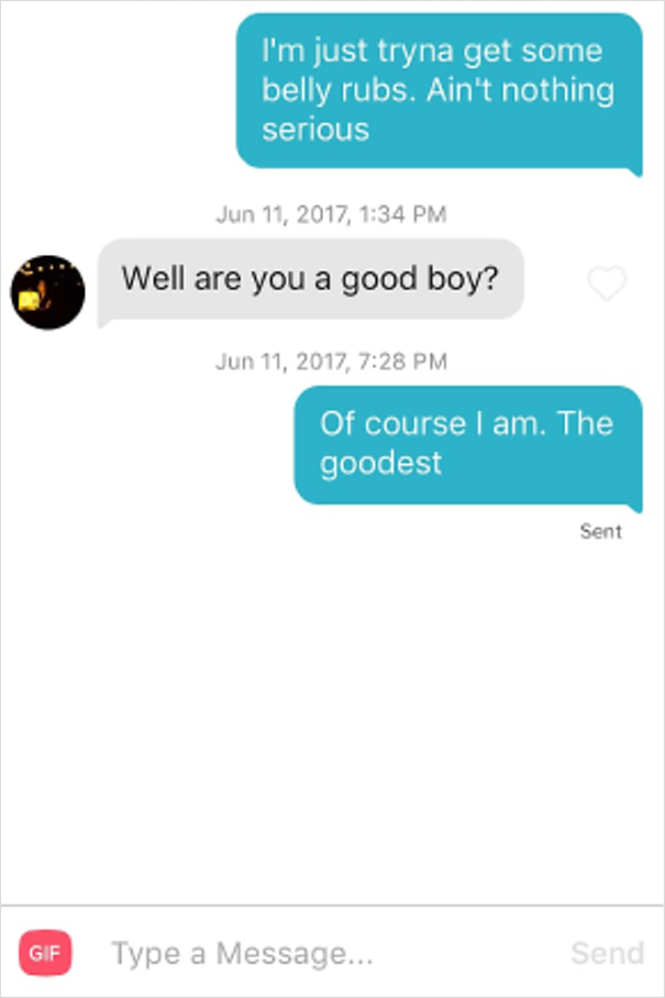 Dog-Tinder-Phil-Lifewithmalamutes