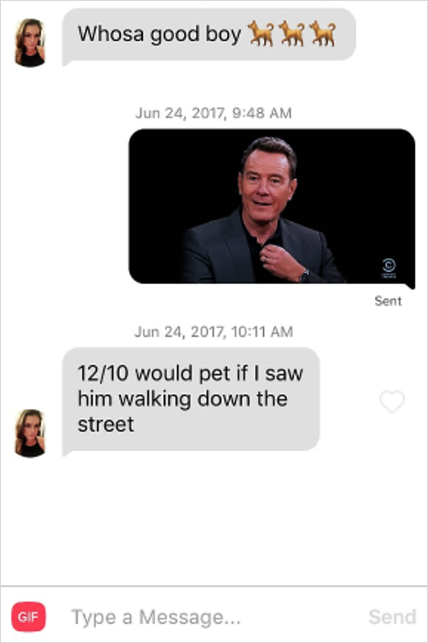 Dog-Tinder-Phil-Lifewithmalamutes