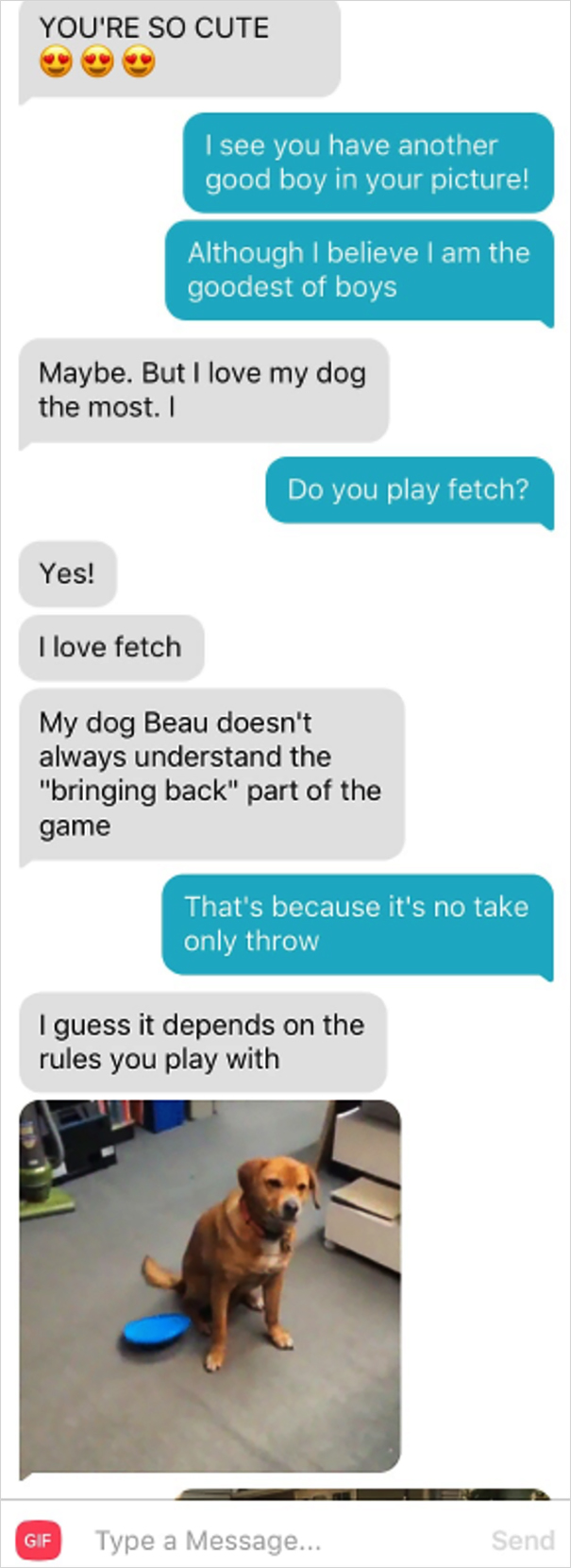 Dog-Tinder-Phil-Lifewithmalamutes