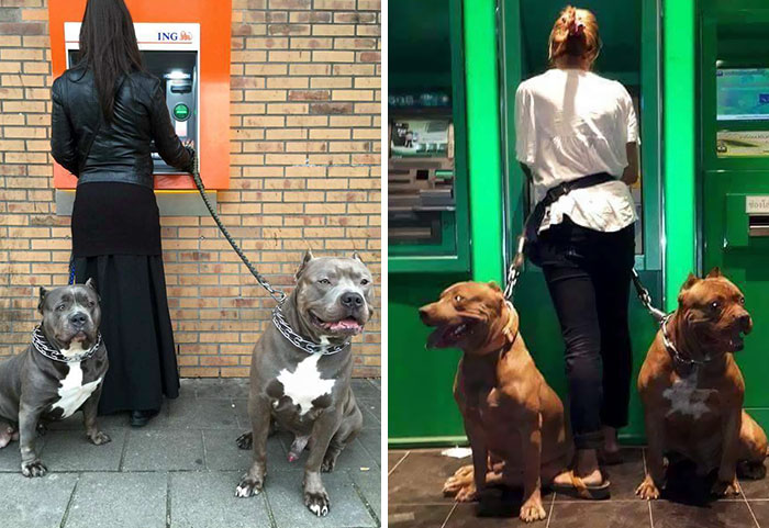 El mejor antirrobo al ir a sacar dinero del cajero automático (13 imágenes)