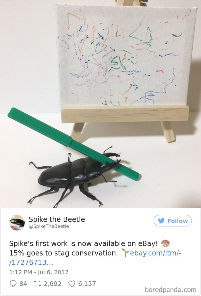 Drawing-bug-spike-the-beetle-japan
