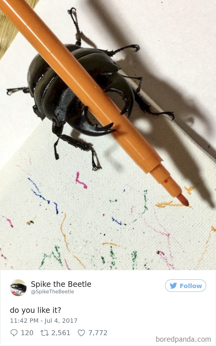 Drawing-bug-spike-the-beetle-japan