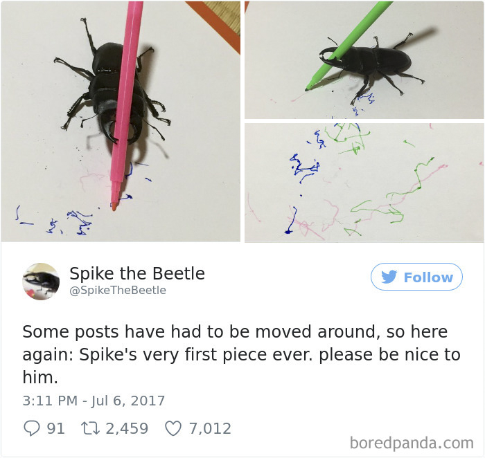 Drawing-bug-spike-the-beetle-japan