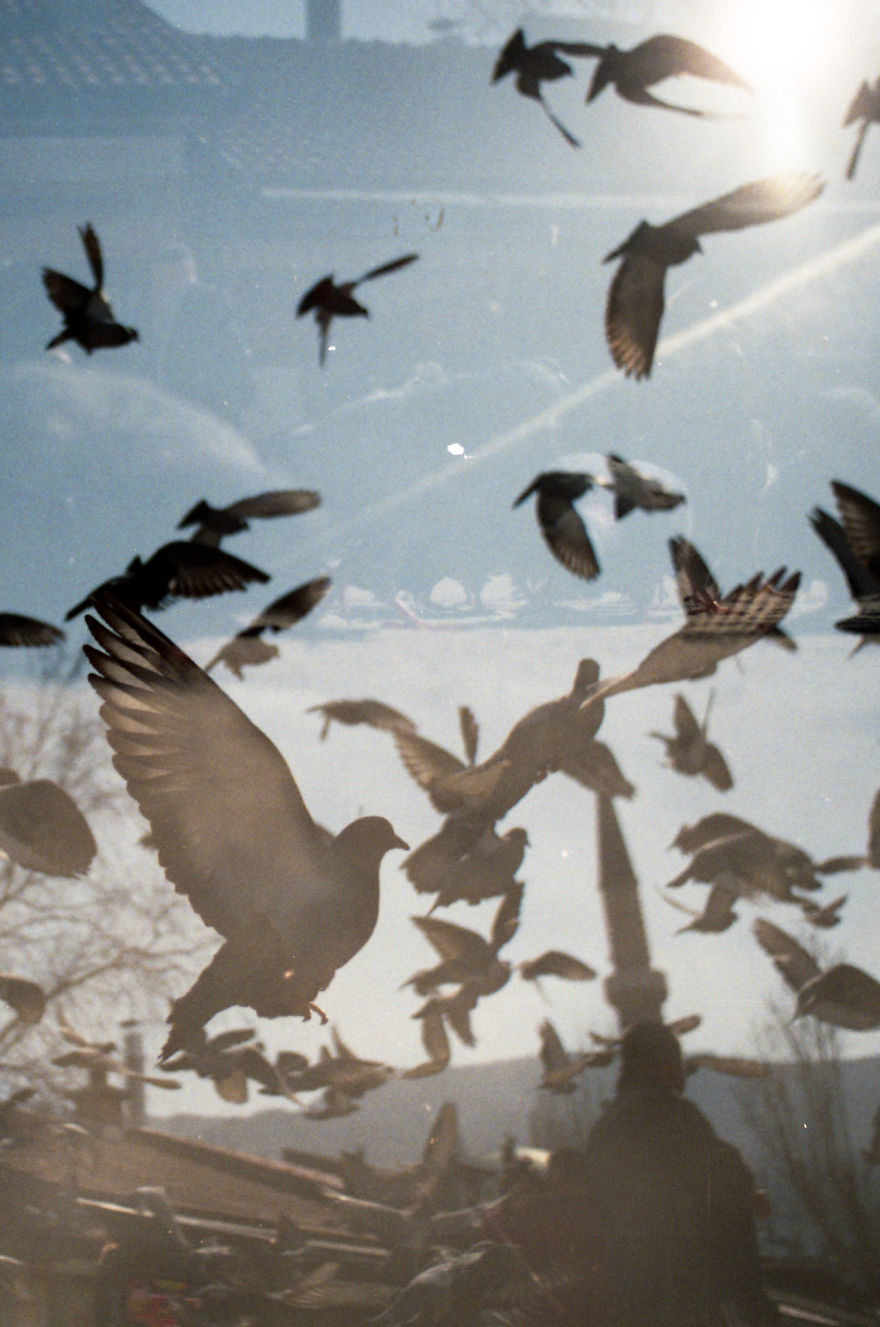 In The Streets Of Sarajevo