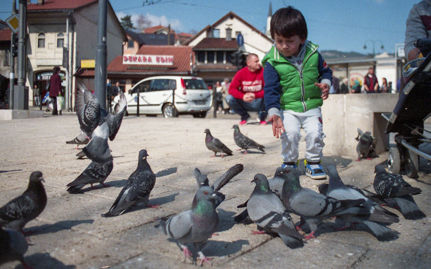 In The Streets Of Sarajevo In The Streets Of Sarajevo