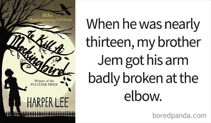 To K**l A Mockingbird book cover and an opening line 