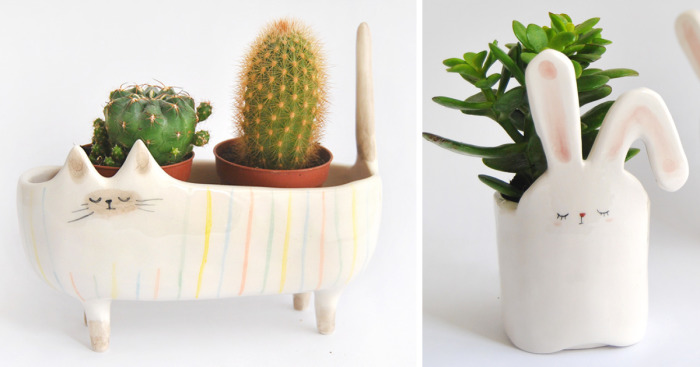 Our Ceramic Pots For Nature And Animal Lovers