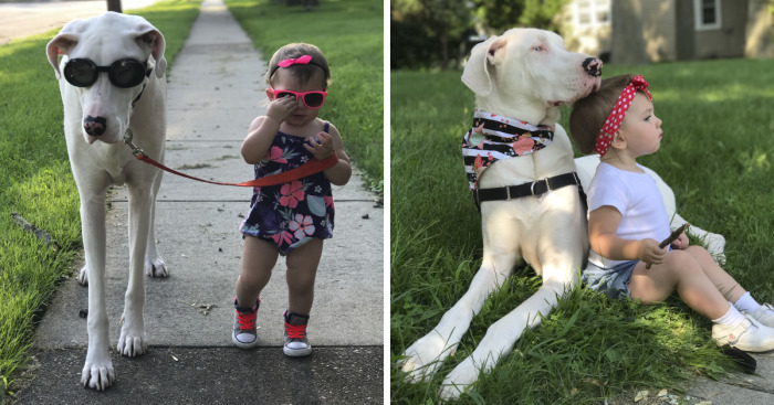 A Girl And Her (Deaf) Dog