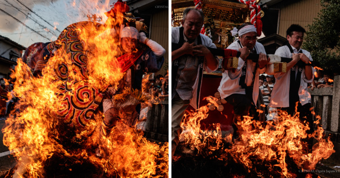 Three Lions Running Through The Burning Fire