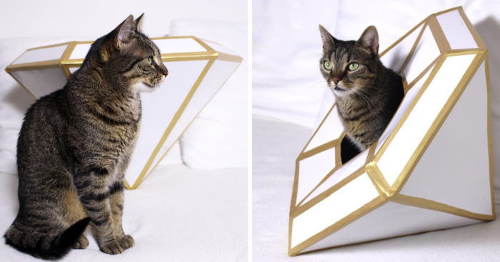 I Made This Diamond Shape Cat House