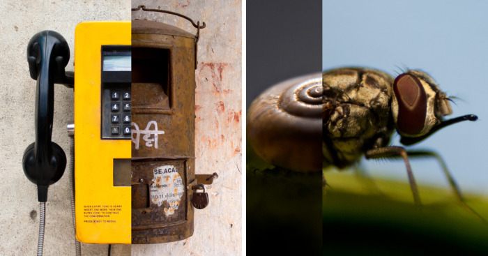 I Created These Photos By Combining Two Different Objects