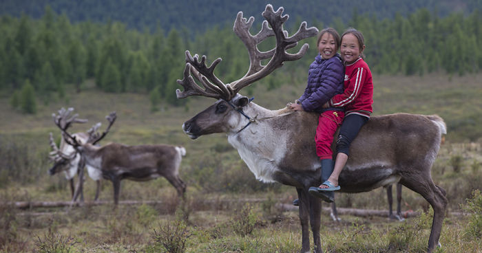 I Took Photos Of Adorable Kids With Their Reindeer In The Remote Taiga Mountains Of Mongolia