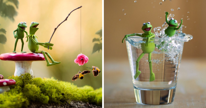 I Photograph Kermit The Frog Having Crazy Adventures