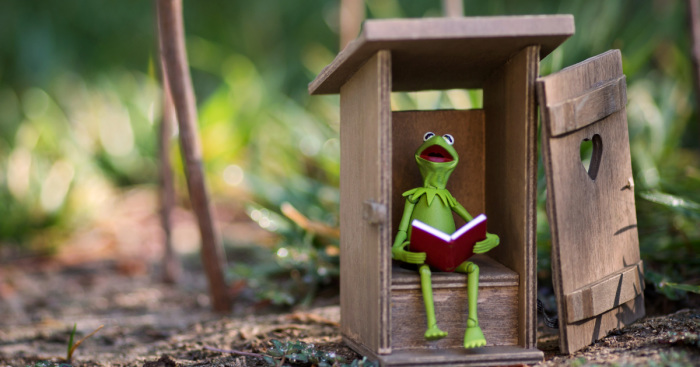 I Photograph Kermit The Frog Having Crazy Adventures