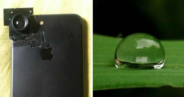 This Hack Lets You Take Amazing Macro Photos With Any Smartphone