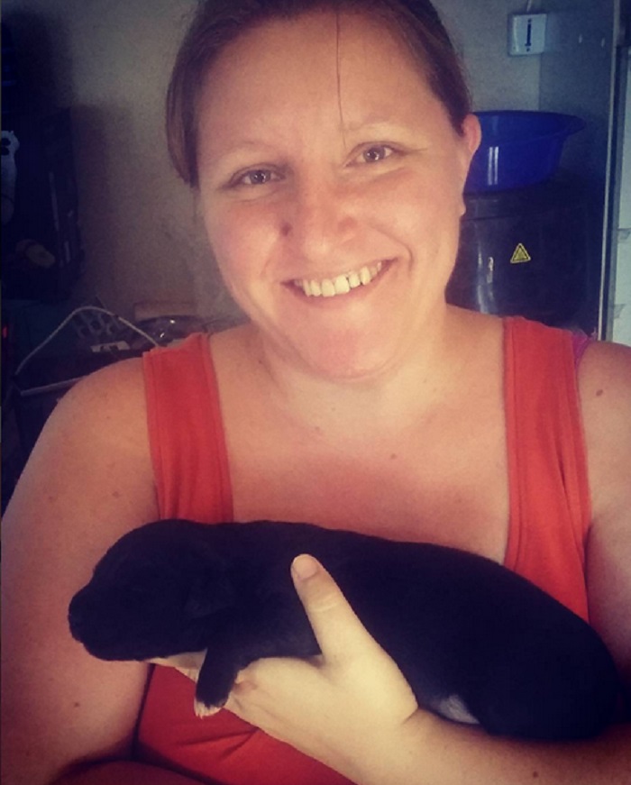 Wanted A Dog Since I Was 10, Had To Wait 21 Years Before I Actually Adopted One. This Is Sirius, 14 Days Old, Labrador Cross Breed, Born On September 4, 2017. Gonna Take Her To Her Furever Home By The End Of November, But I Couldn't Wait To Meet Her. She Fell Asleep As Soon She Got Into My Arms, Hope It's A Good Sign. Can't Wait To Take Her Home :)