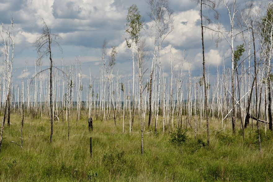 Riding The Road Of Bones In Russian Far East With My Father Riding The Road Of Bones In Russian Far East With My Father
