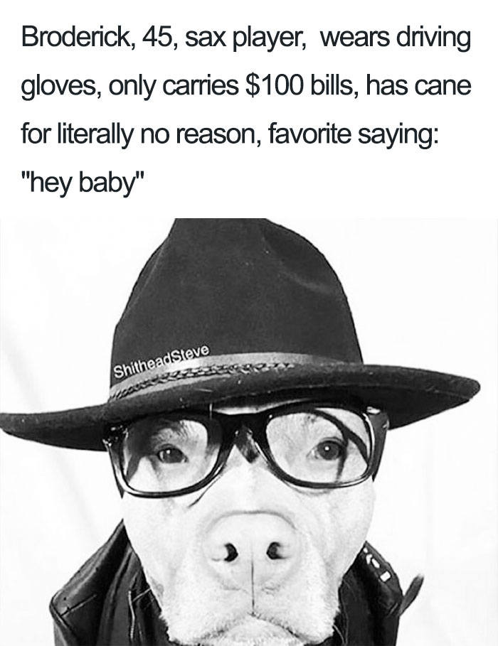 Broderick The Pitbull