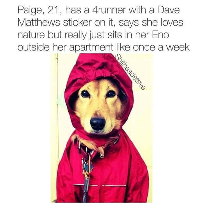 Funny Dog Bios