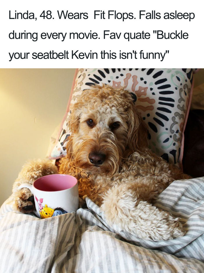 Funny Dog Bios