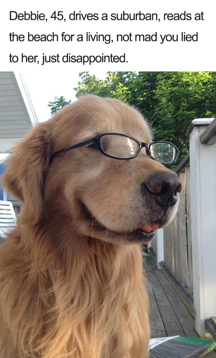 Debbie The Retriever