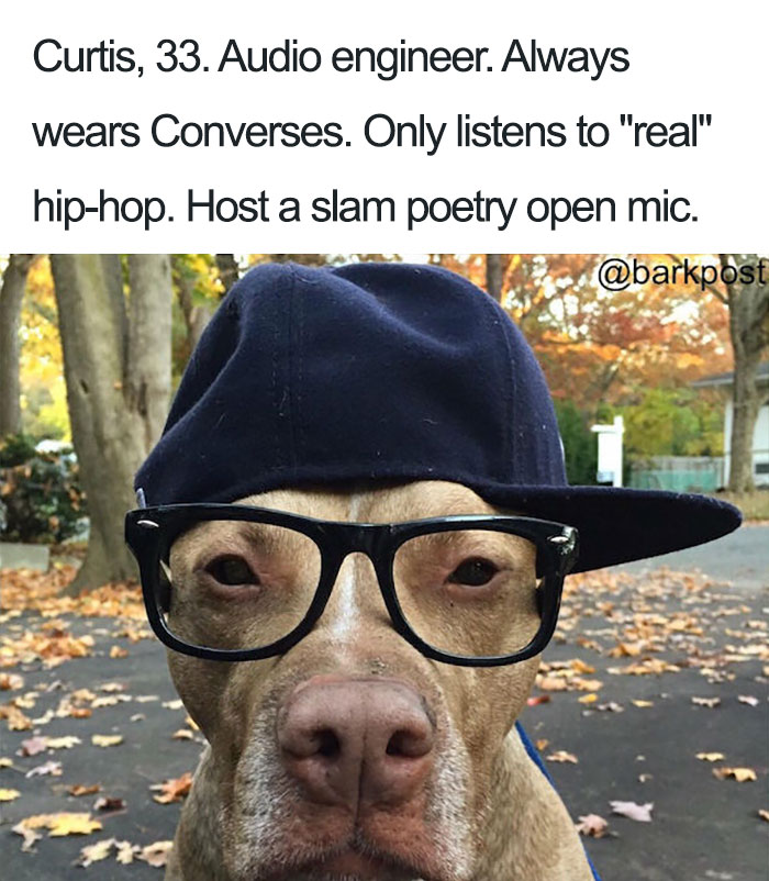 Funny Dog Bios