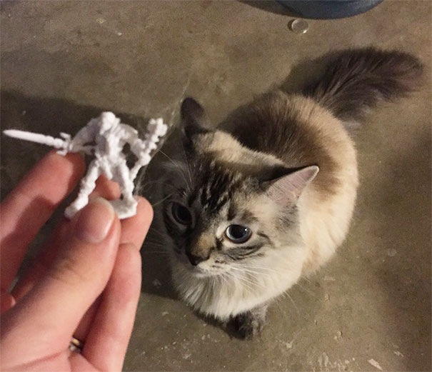 My Mighty Hunter Brought Me Her Trophy