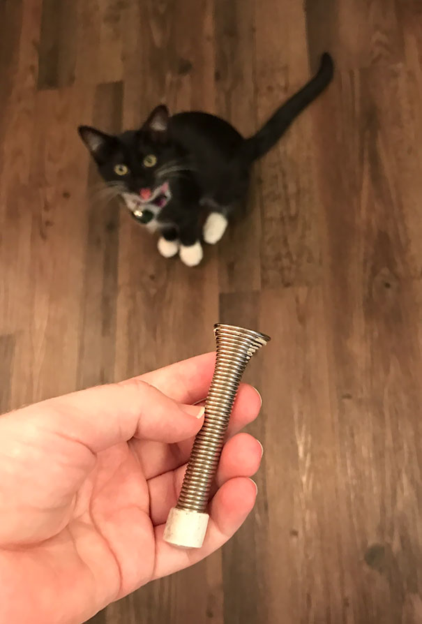 Maggie's Gift Giving Abilities Have Escalated From Toys To Kitchen Sponges And Door Stoppers And She Couldn't Be More Proud