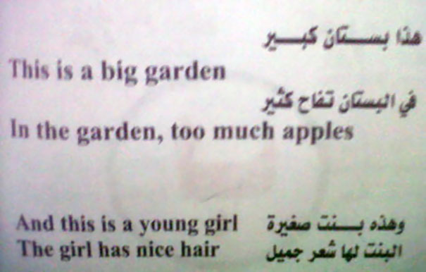 Translation Fails That Prove Auto-Translate Can Be Hilariously Wrong