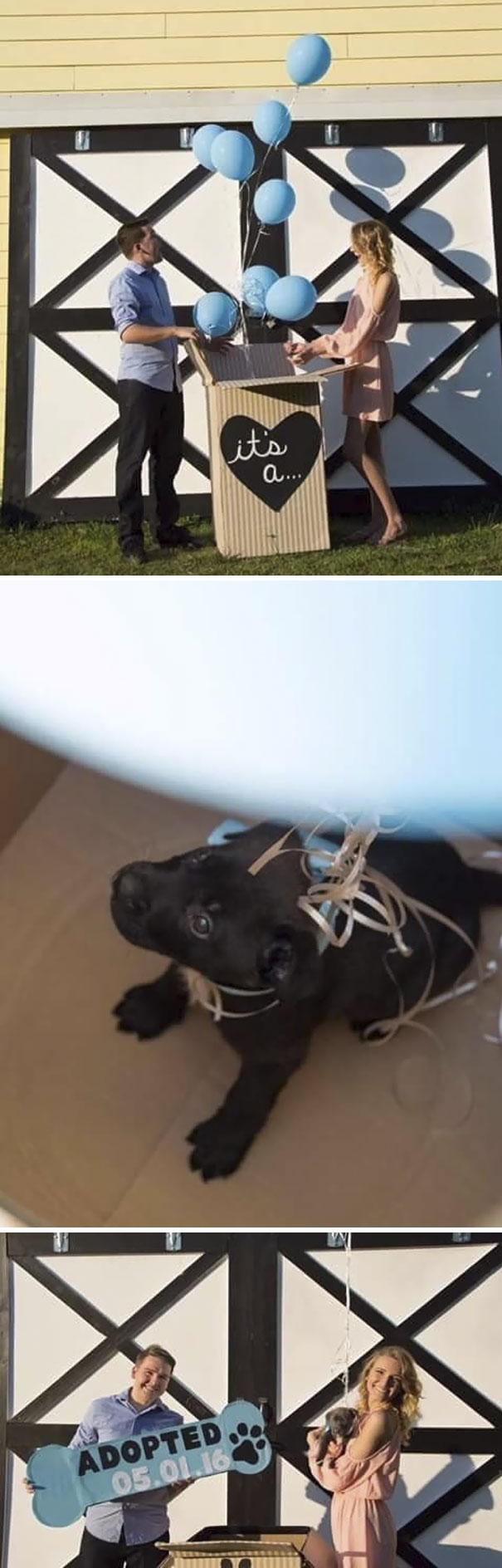couple opening a box with puppy 