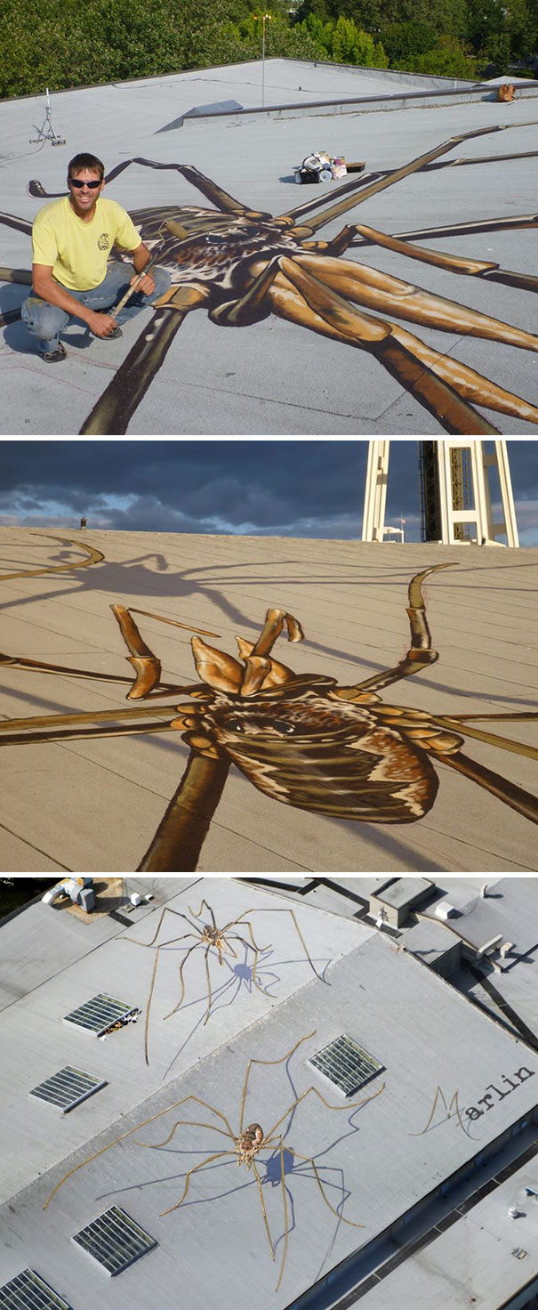 man painted a giant spider on the roof 