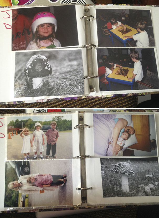 a mushroom added to a family album 