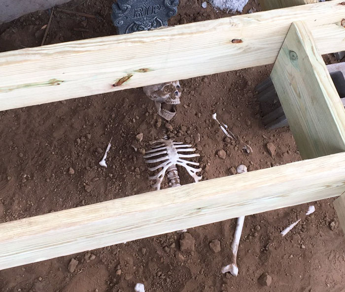 123 Genius Trolls Who Took Trolling To Another Level