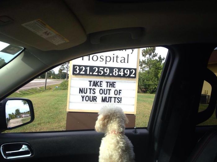 Vet Sign