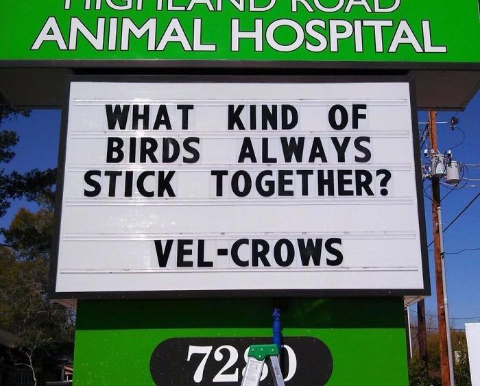 Vet Sign