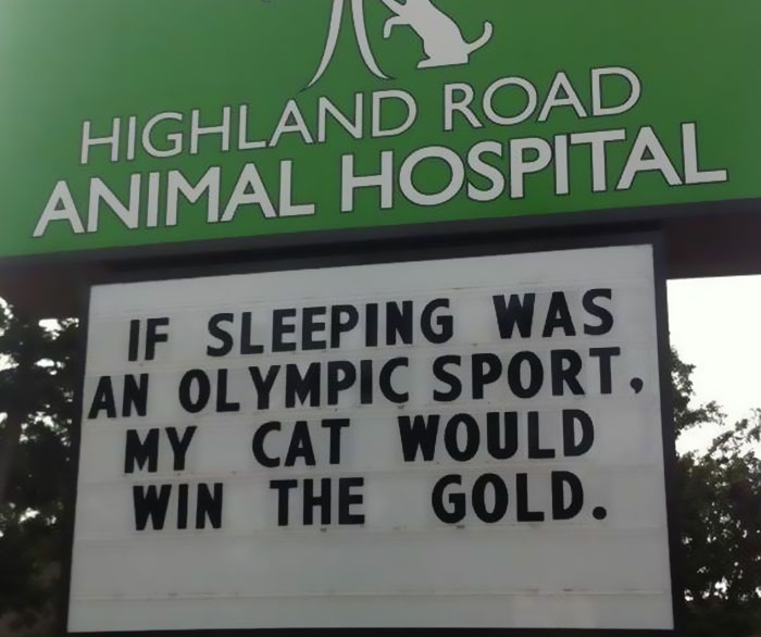 Vet Sign