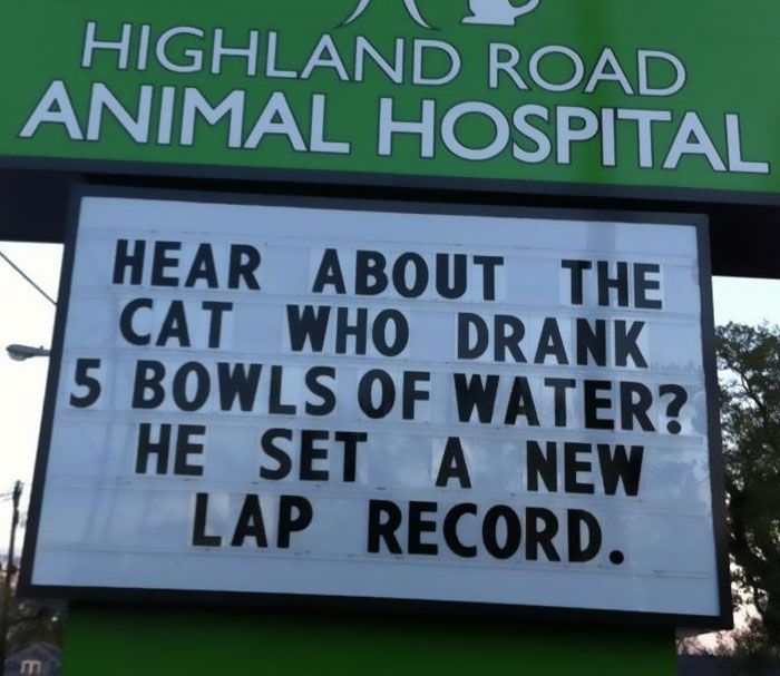Vet Sign
