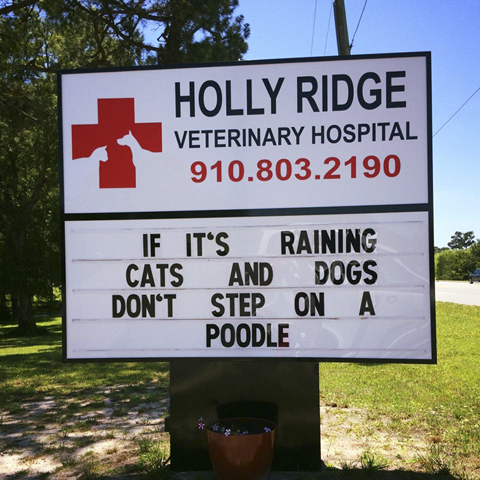 Funny-veterinarian-signs