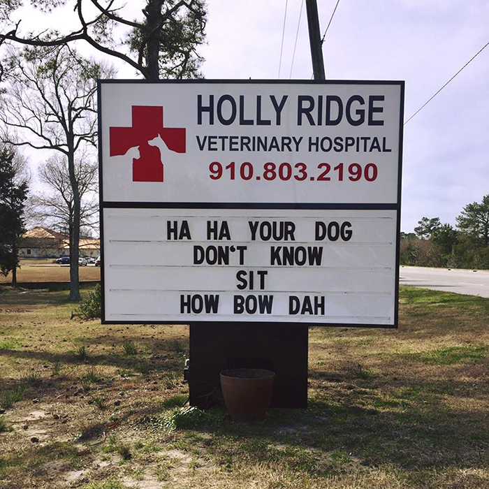 Funny-veterinarian-signs