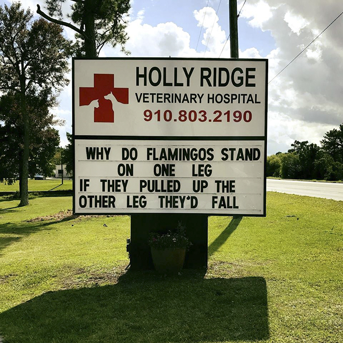 Funny-veterinarian-signs