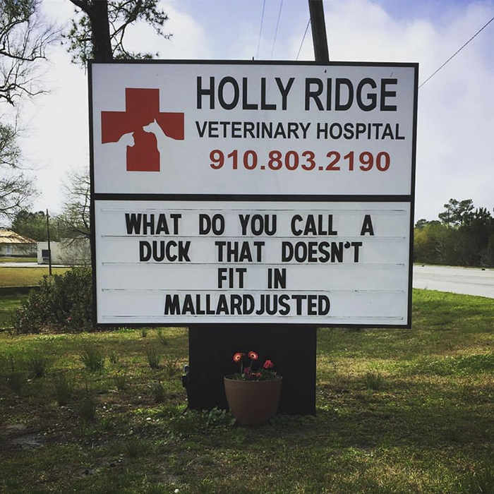 Funny-veterinarian-signs