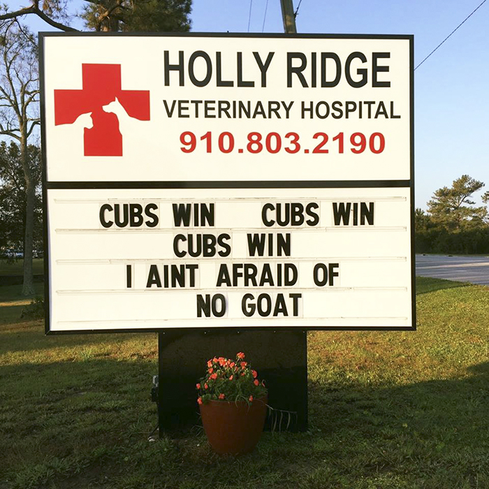 Funny-veterinarian-signs