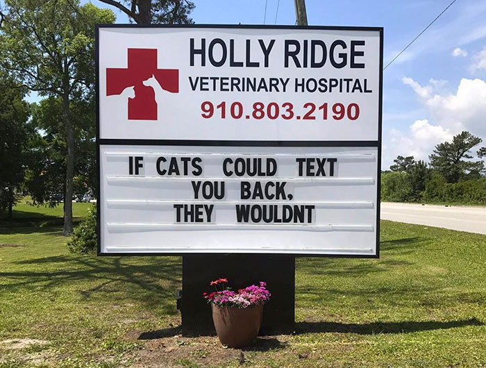 50 Genius Vet Signs That Will Make You Laugh