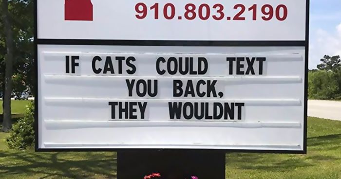 50 Genius Vet Signs That Will Make You Laugh