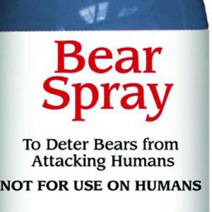 connorgilbert7964 avatar