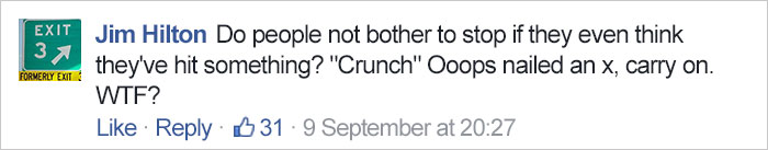 hit-coyote-car-rescue-georgie-knox-12 hit-coyote-car-rescue-georgie-knox-12