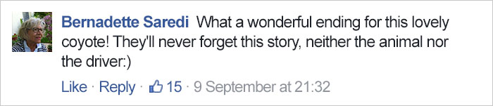 hit-coyote-car-rescue-georgie-knox-4 hit-coyote-car-rescue-georgie-knox-4