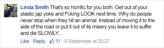 hit-coyote-car-rescue-georgie-knox-7 hit-coyote-car-rescue-georgie-knox-7